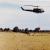 1980 Fire in West Florida.  Farmer's cow pasture, staging area for the aircraft.
